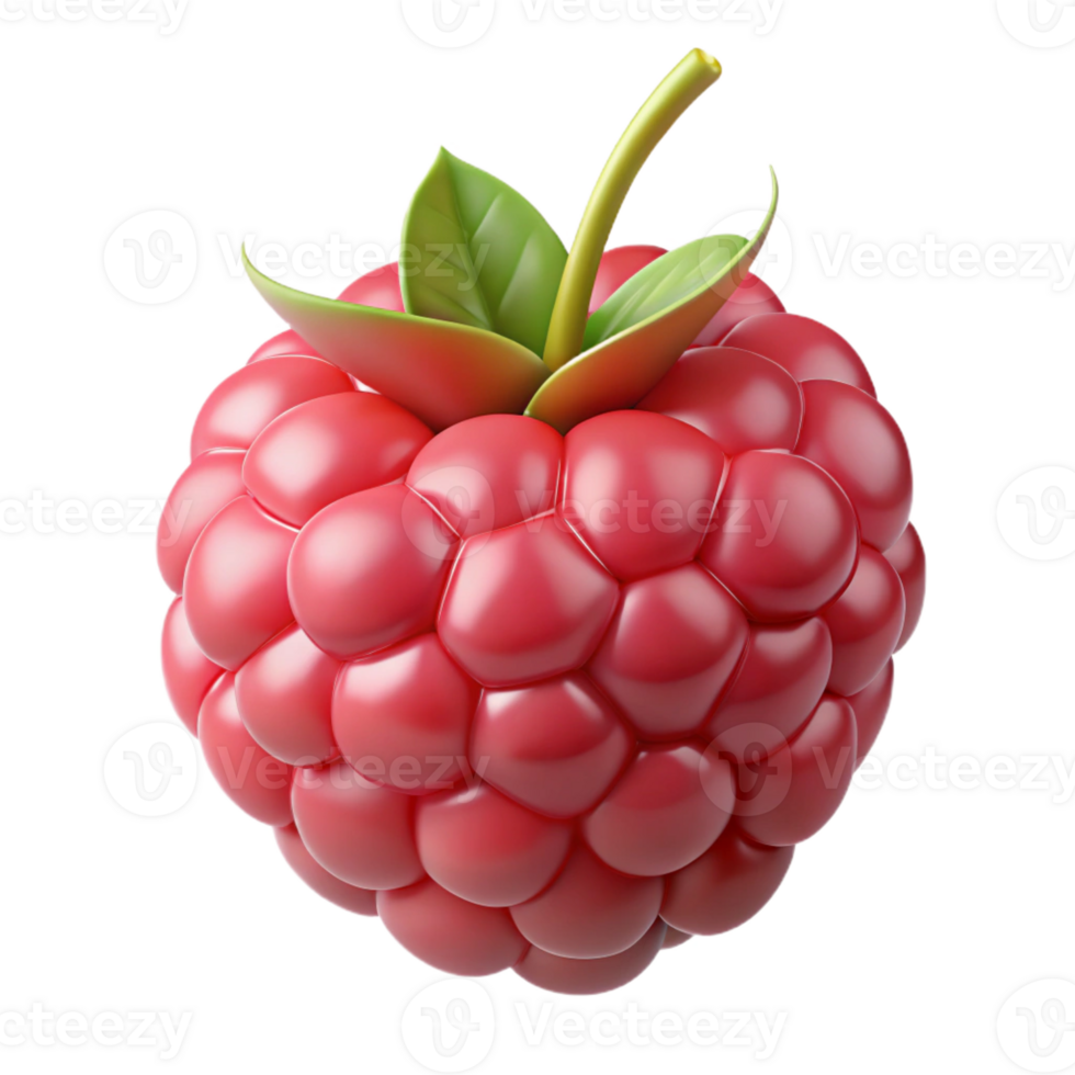 magnificent minimalist Ripe raspberry high resolution png