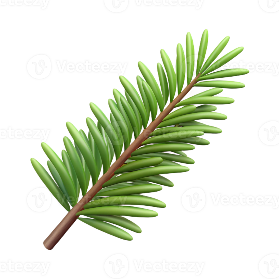 dramatic classic Single fir tree branch with needles 4K png