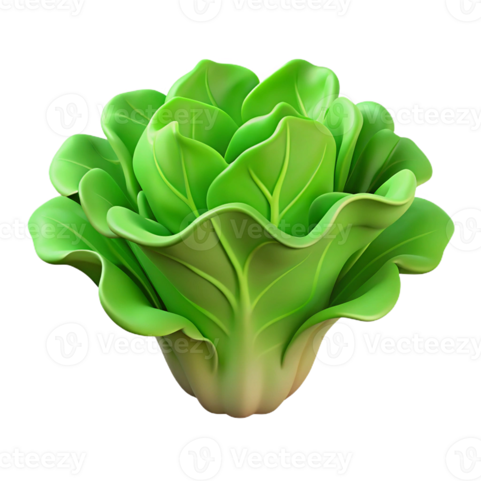 extraordinary vintage Single head of green lettuce genuine png