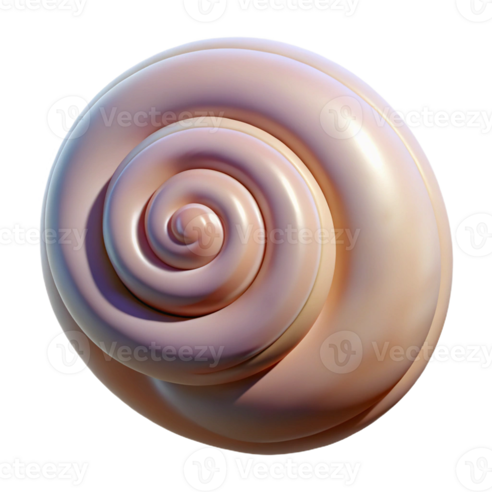 stunning modern Single seashell, spiral shaped authentic png