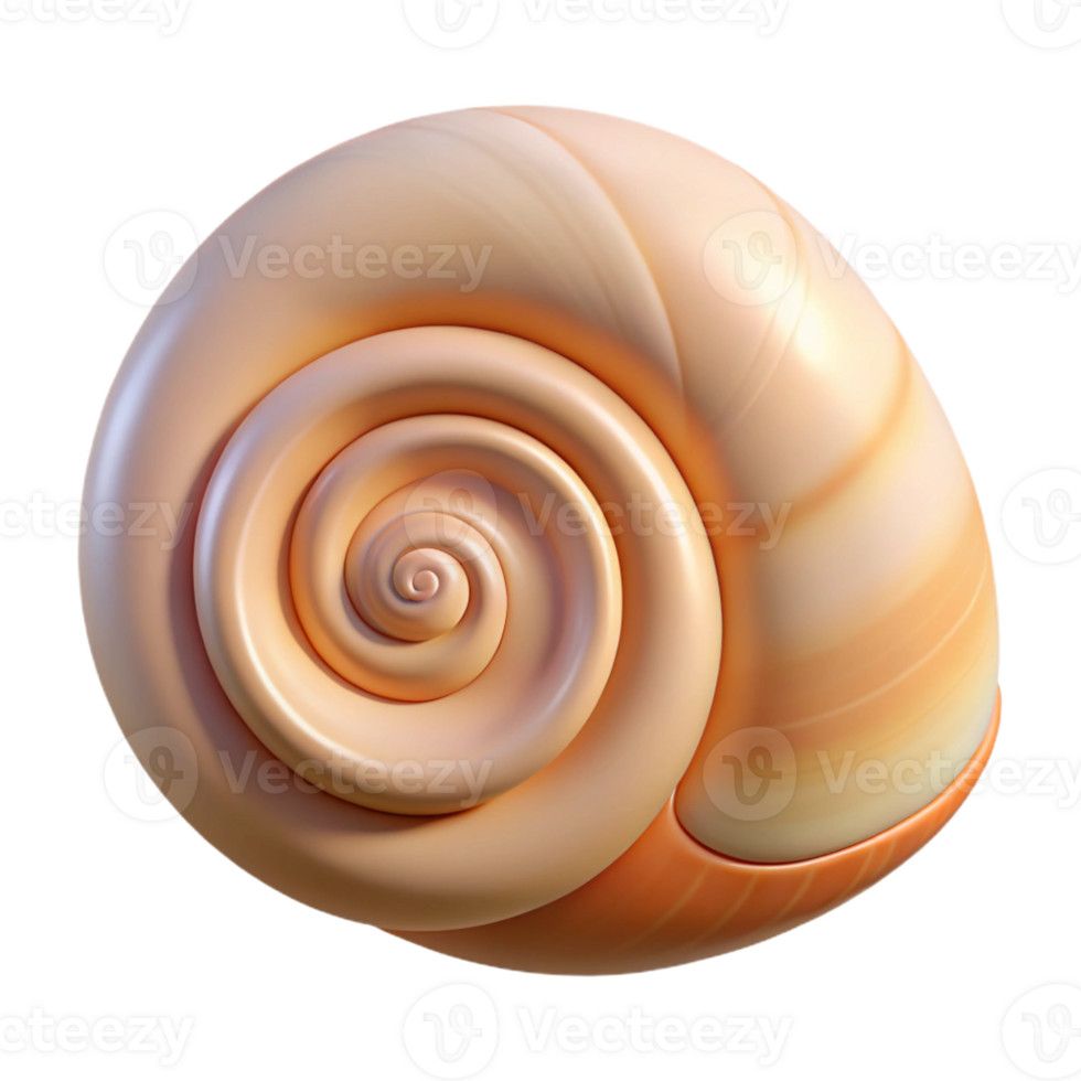 impressive minimalist Single seashell, spiral shaped genuine png