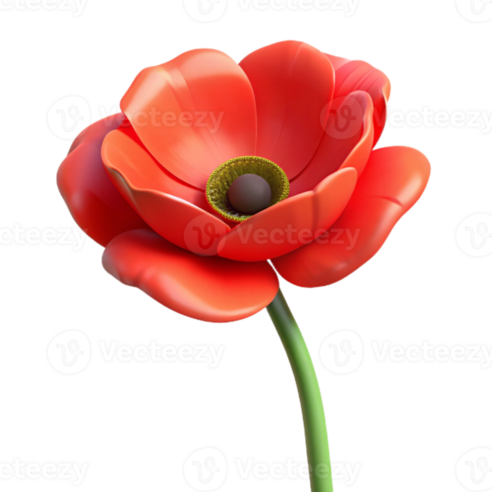 dramatic rustic One poppy flower, red high resolution png