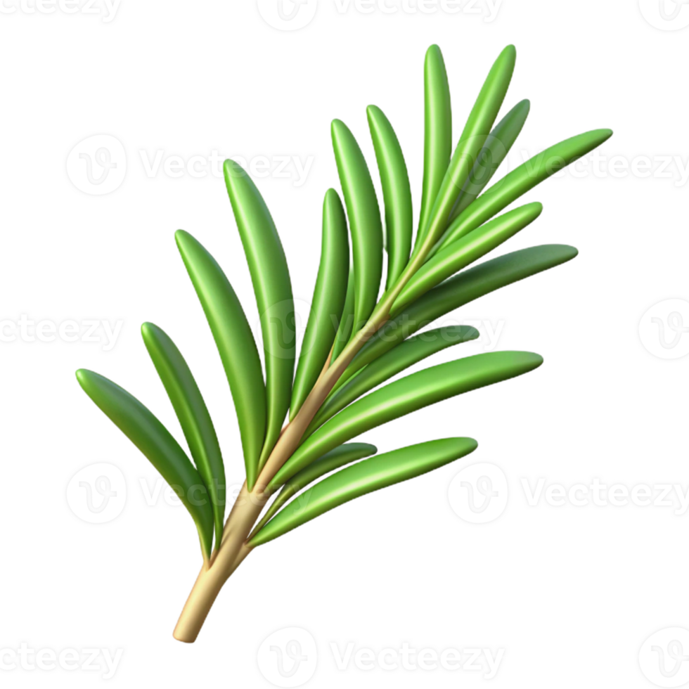 elegant minimalist One sprig of rosemary exclusive png