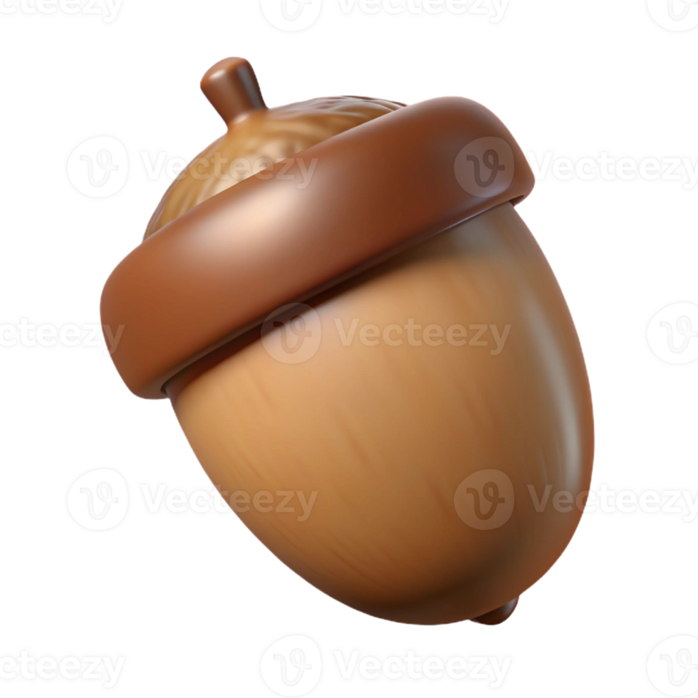serene modern One brown acorn premium png