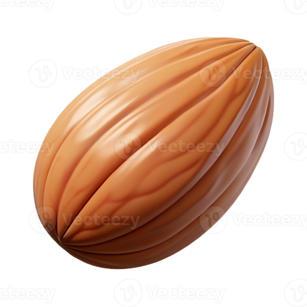vibrant modern Almond nut genuine png
