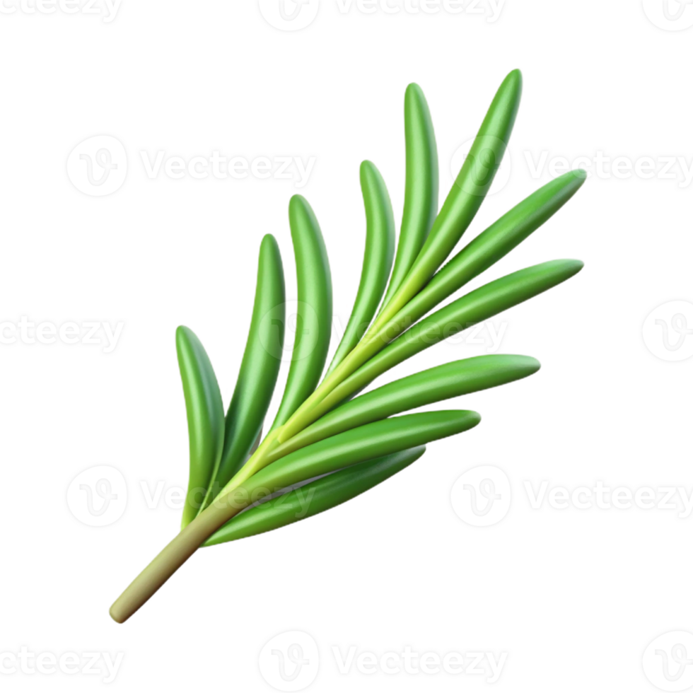 stunning creative Single rosemary sprig authentic png