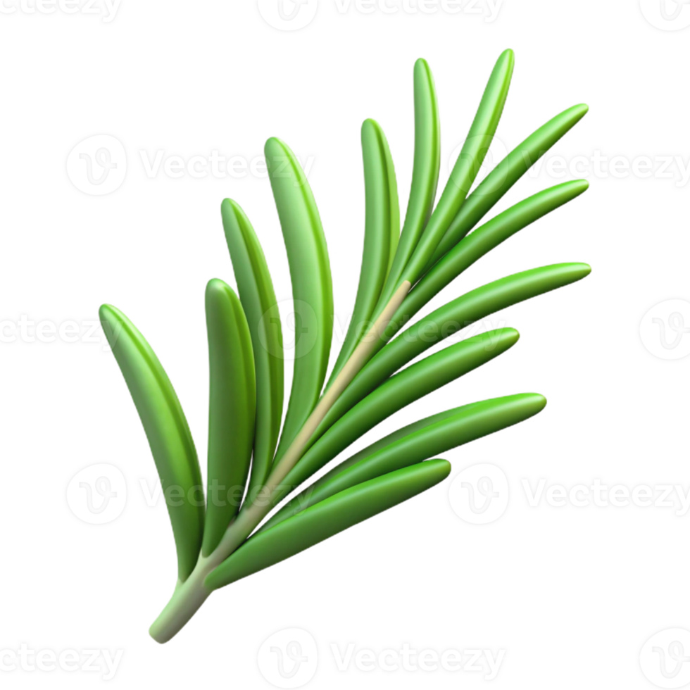 wonderful rustic Single rosemary sprig professional png