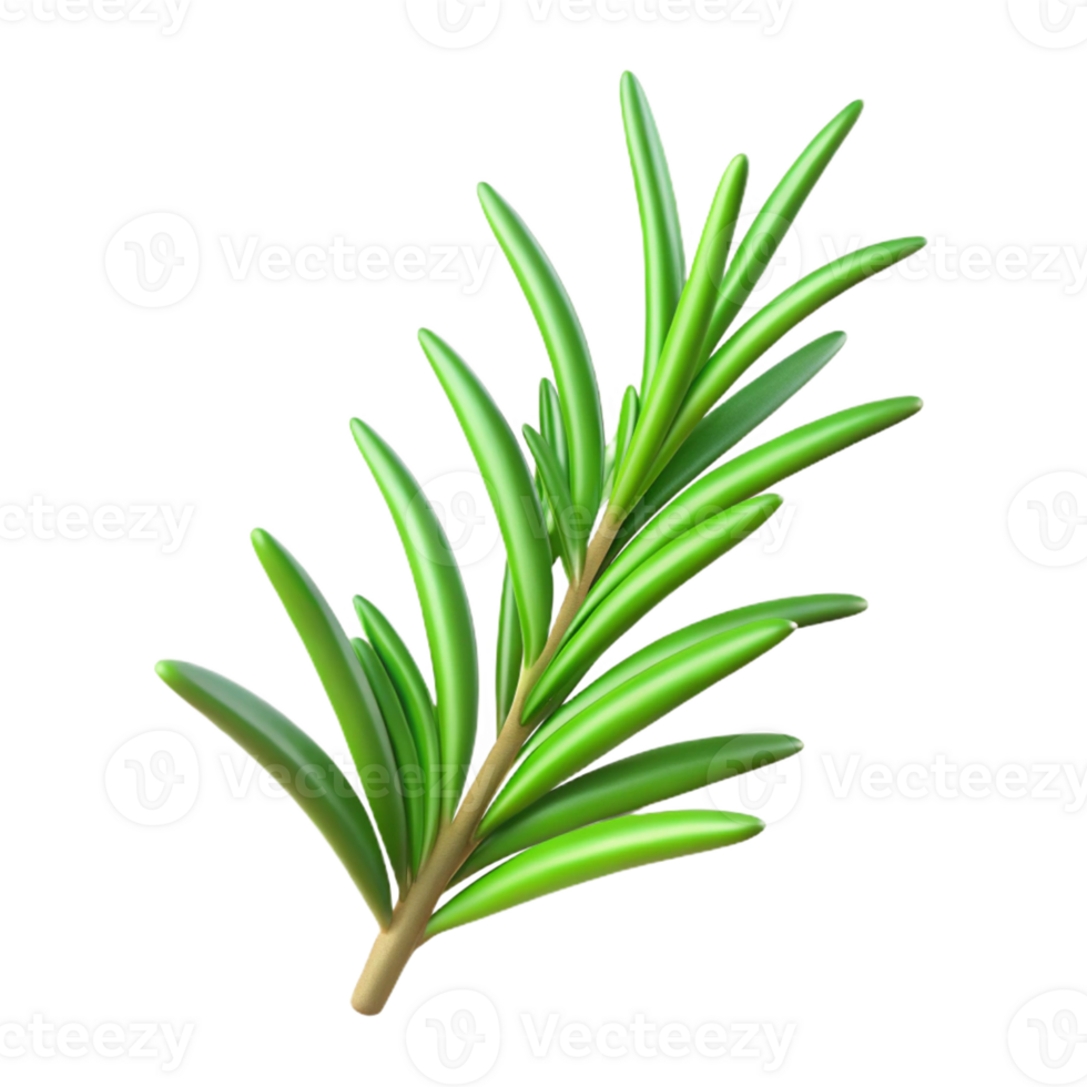 impressive rustic Single rosemary sprig 4K png
