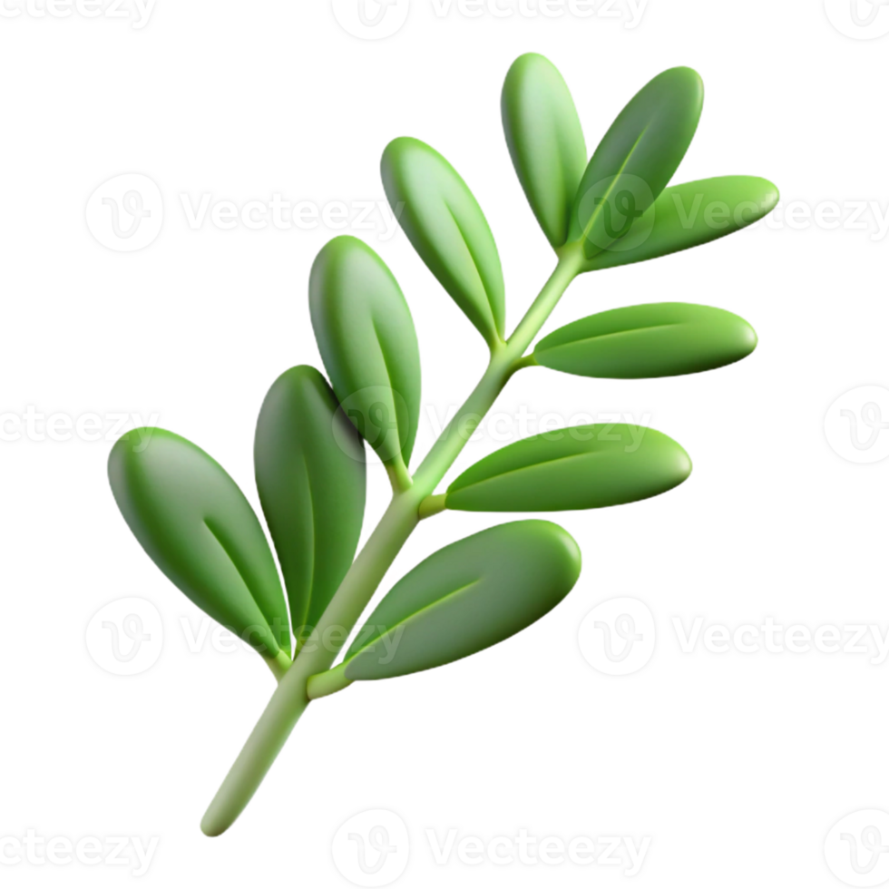 extraordinary traditional Thyme sprig original png