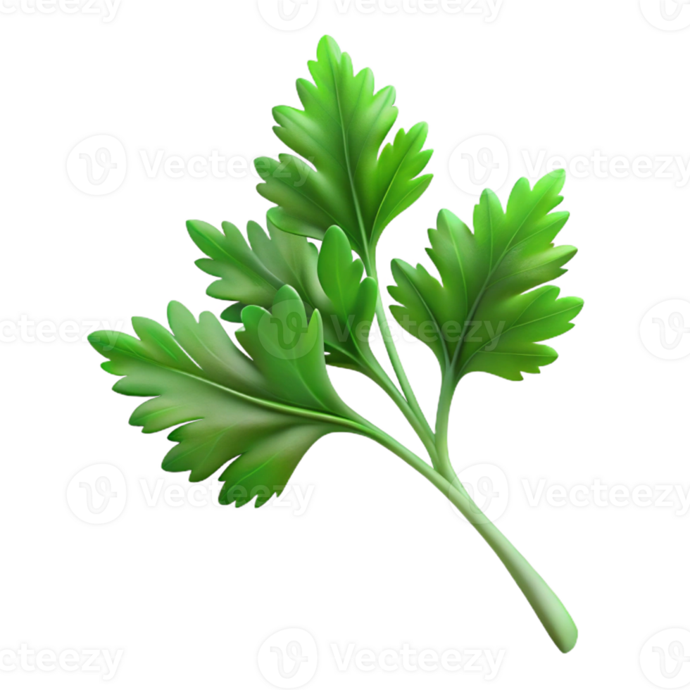 impressive creative Cilantro sprig high resolution png