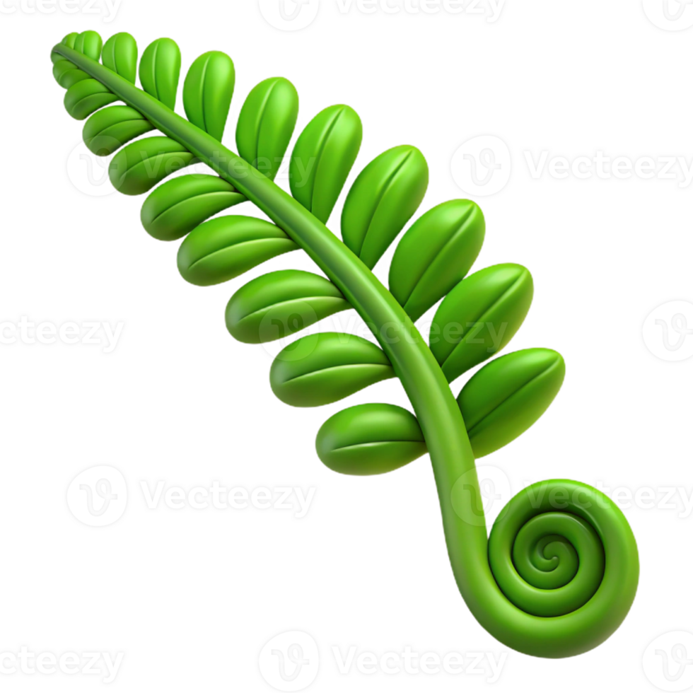 elegant classic Single green fern frond, unfurling genuine png