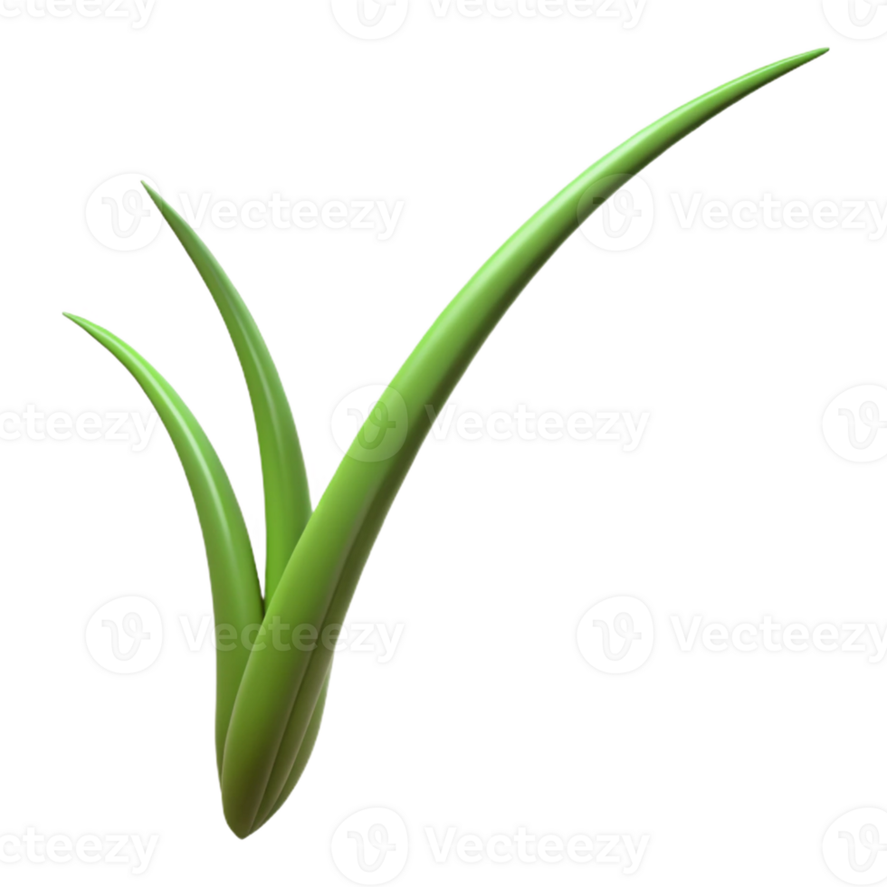 impressive abstract Single blade of grass original png