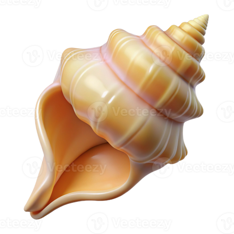dramatic abstract Seashell, conch 4K png