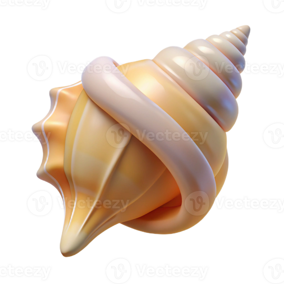 extraordinary classic Seashell, conch exclusive png