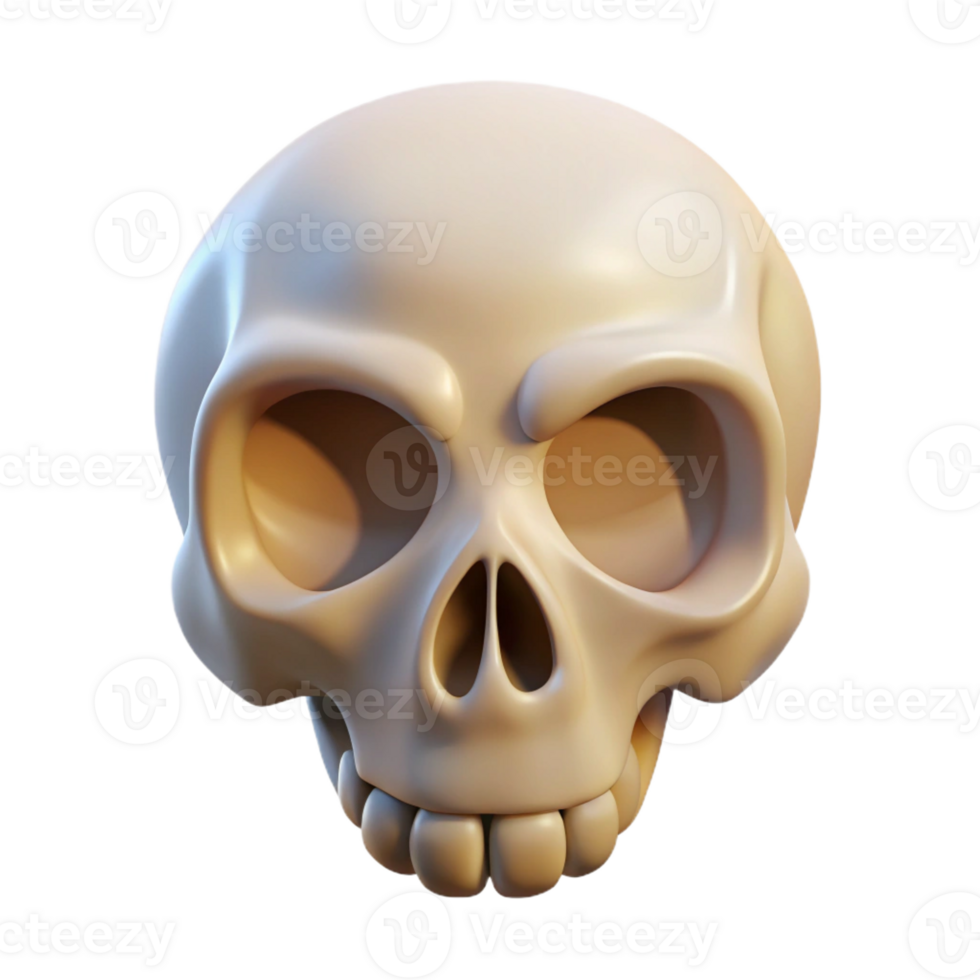 serene rustic A single, stylized skull with intricate bone details original png