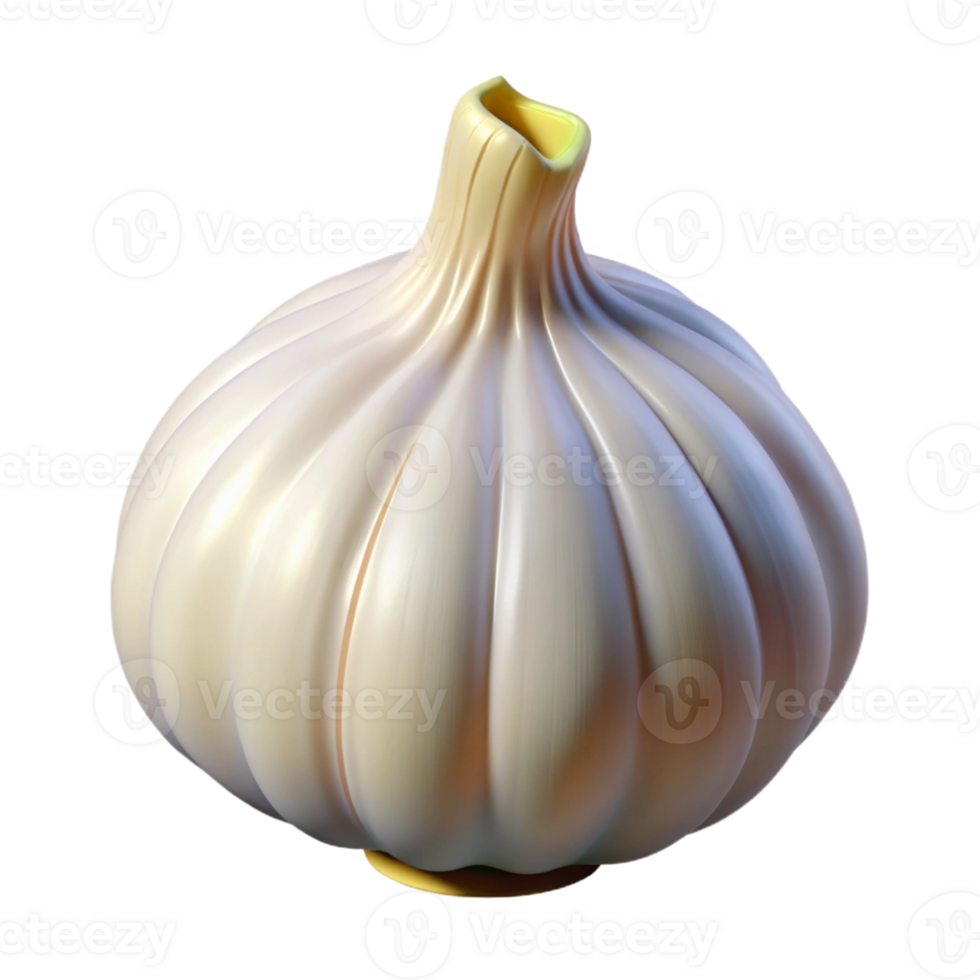 elegant rustic Head of garlic authentic png