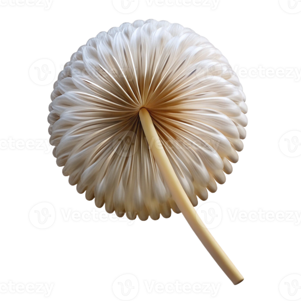 elegant abstract Single dandelion seed head authentic png