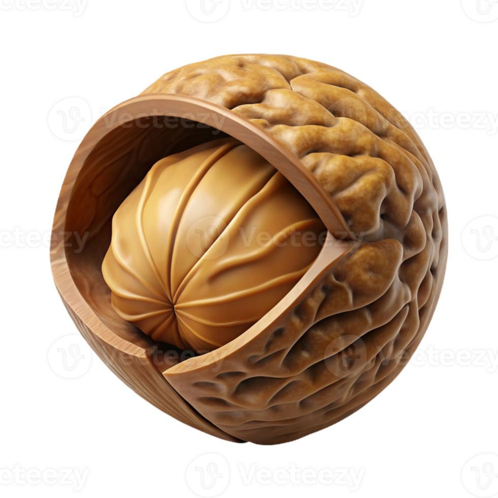 extraordinary abstract Walnut in shell, cracked open high resolution png