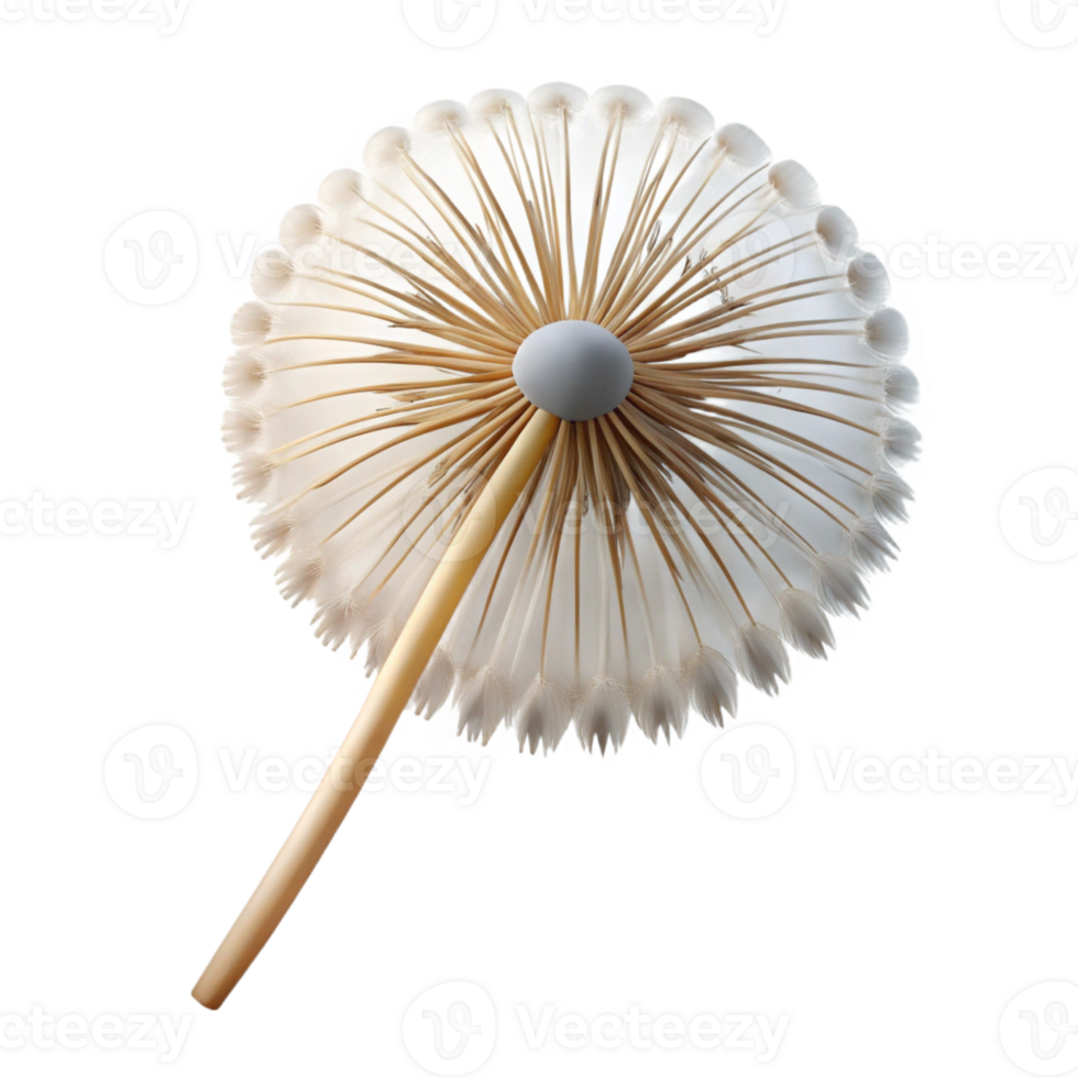 impressive modern Single dandelion seedhead authentic png