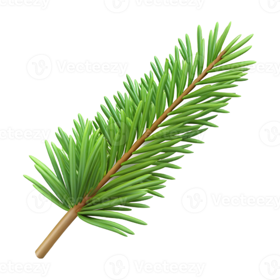 elegant traditional Single fir tree branch with needles detailed png