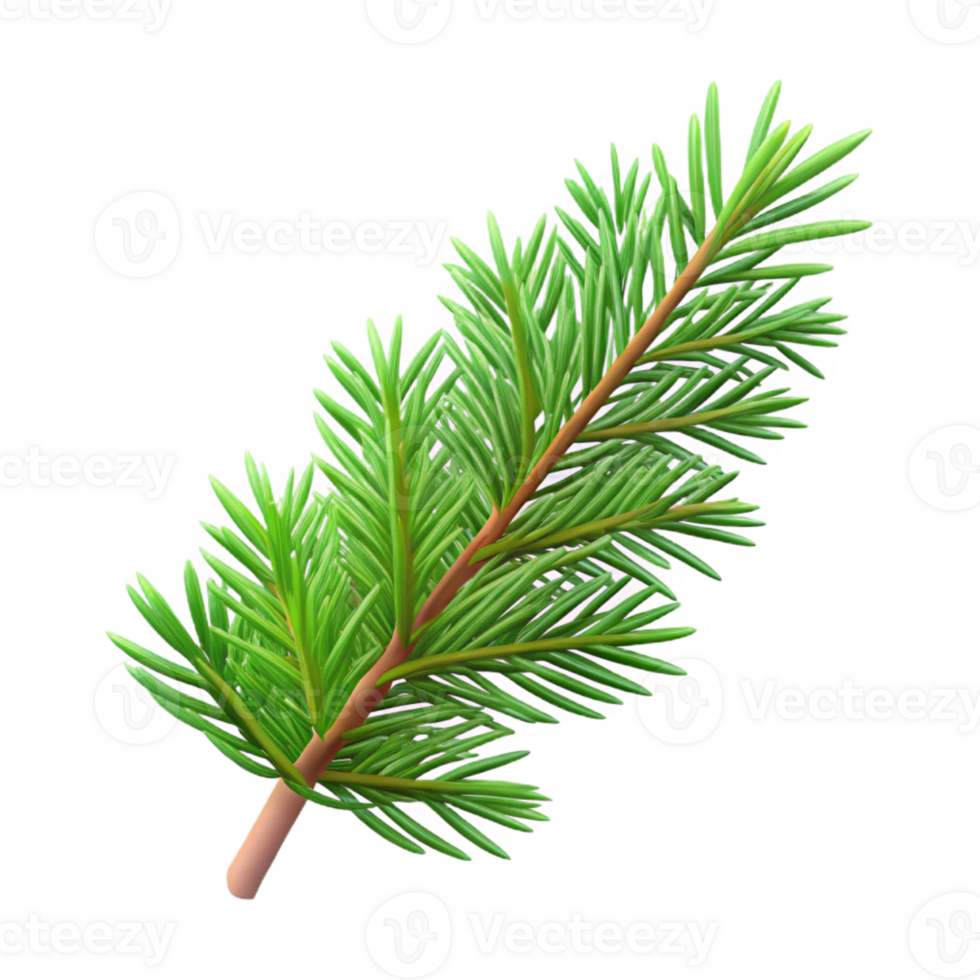 vibrant modern Single fir tree branch with needles authentic png