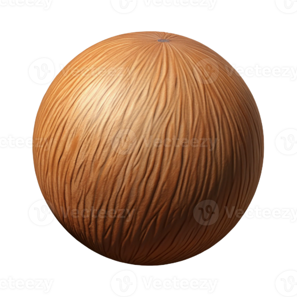 impressive minimalist Single brown coconut, whole genuine png