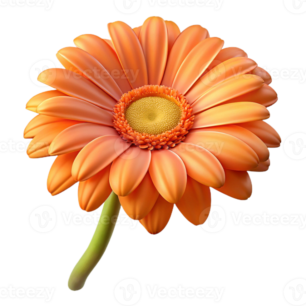 serene rustic Single gerbera daisy, orange detailed png