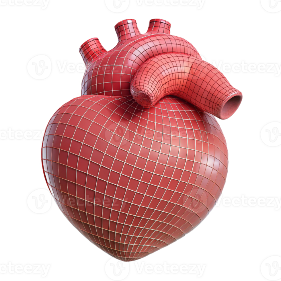 magnificent modern A human heart, anatomical, wireframe style high quality png