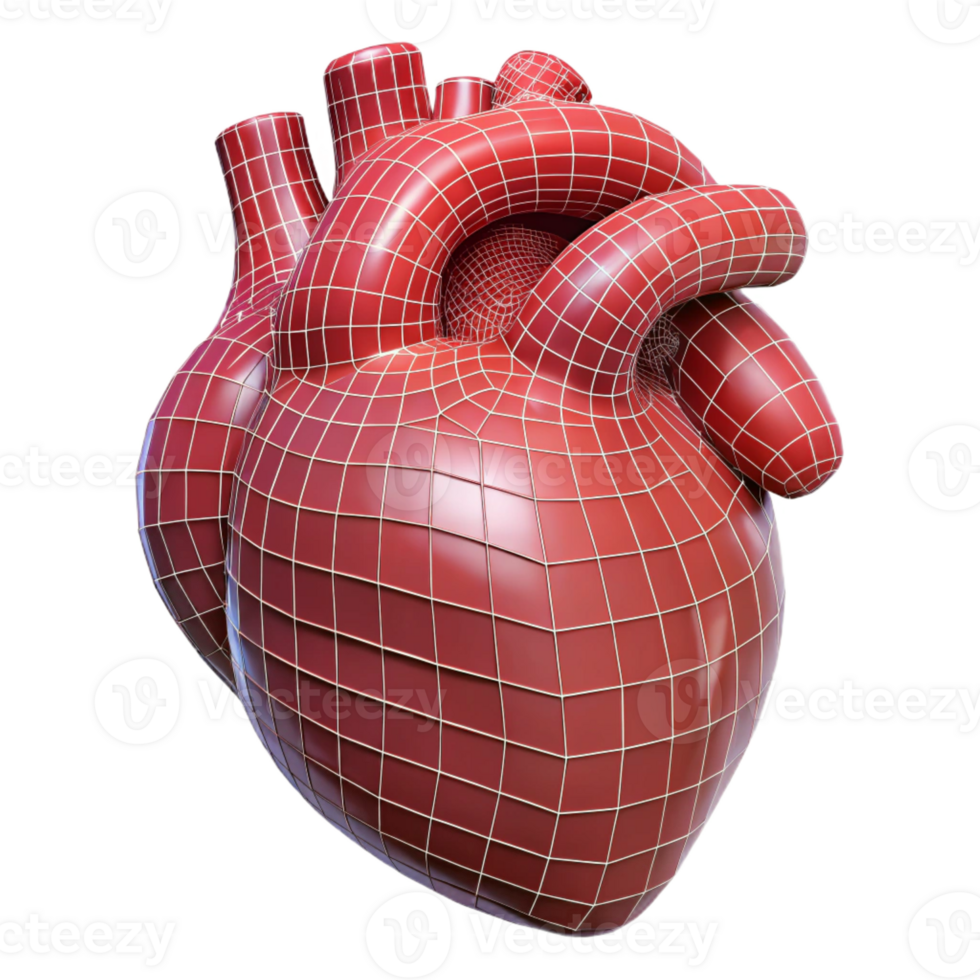 magnificent classic A human heart, anatomical, wireframe style professional png