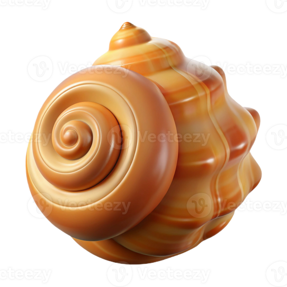 extraordinary classic A seashell, spiral shape, textured surface high resolution png