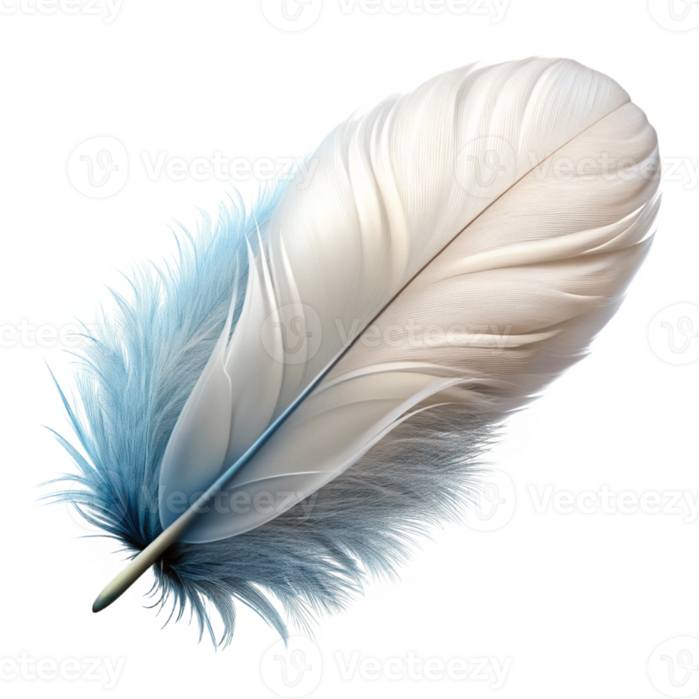 dramatic artistic Feather, white and fluffy exclusive png