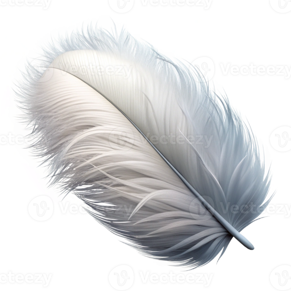 beautiful minimalist Feather, white and fluffy genuine png