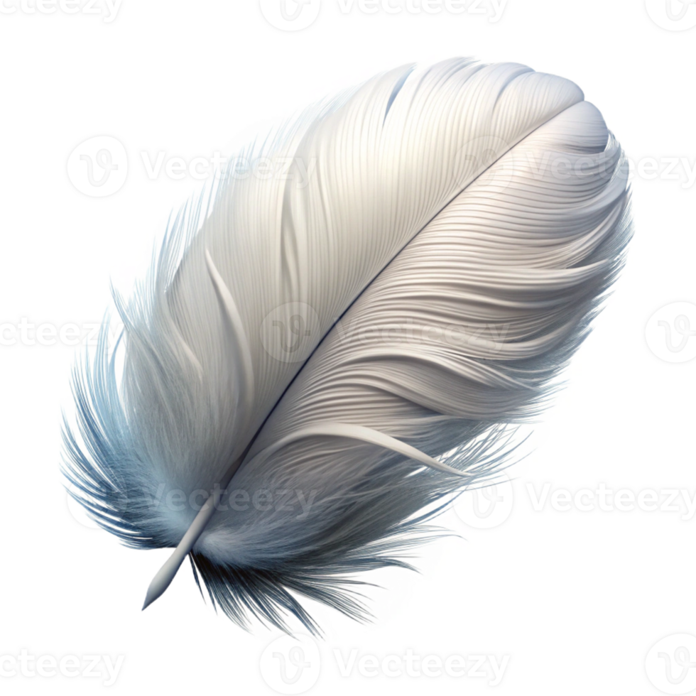 beautiful abstract Feather, white and fluffy professional png