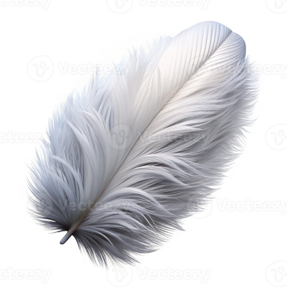 stunning contemporary Feather, white and fluffy high resolution png