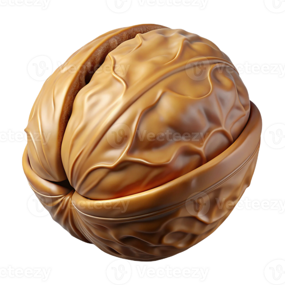 wonderful creative Walnut in shell high quality png