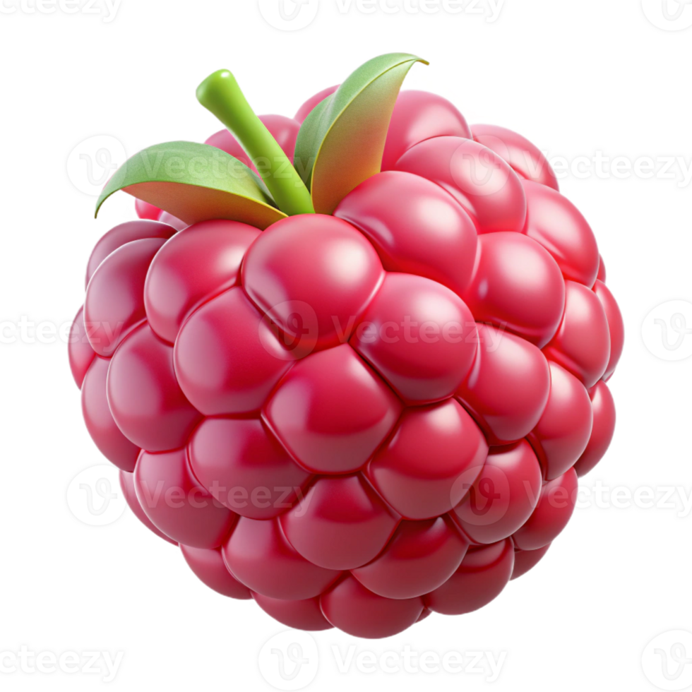 elegant creative Raspberry, single fruit detailed png