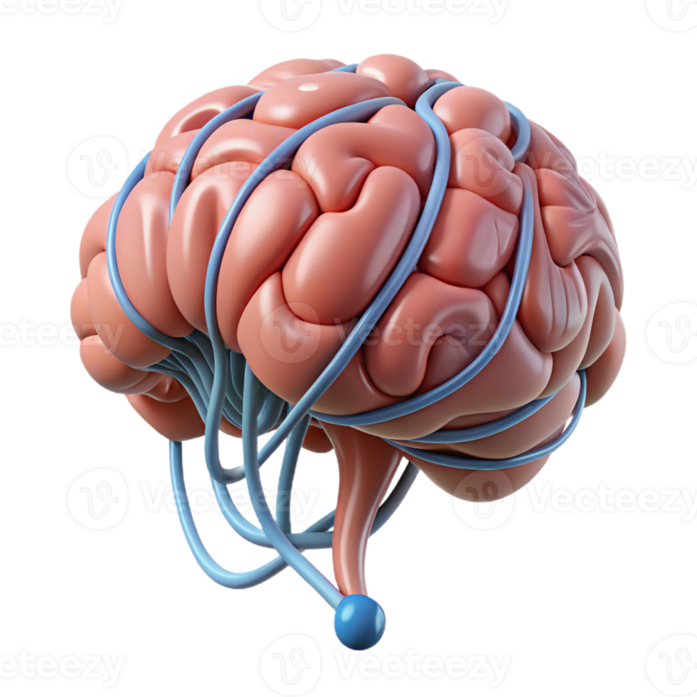 magnificent modern A single, stylized brain with intricate neural pathways authentic png