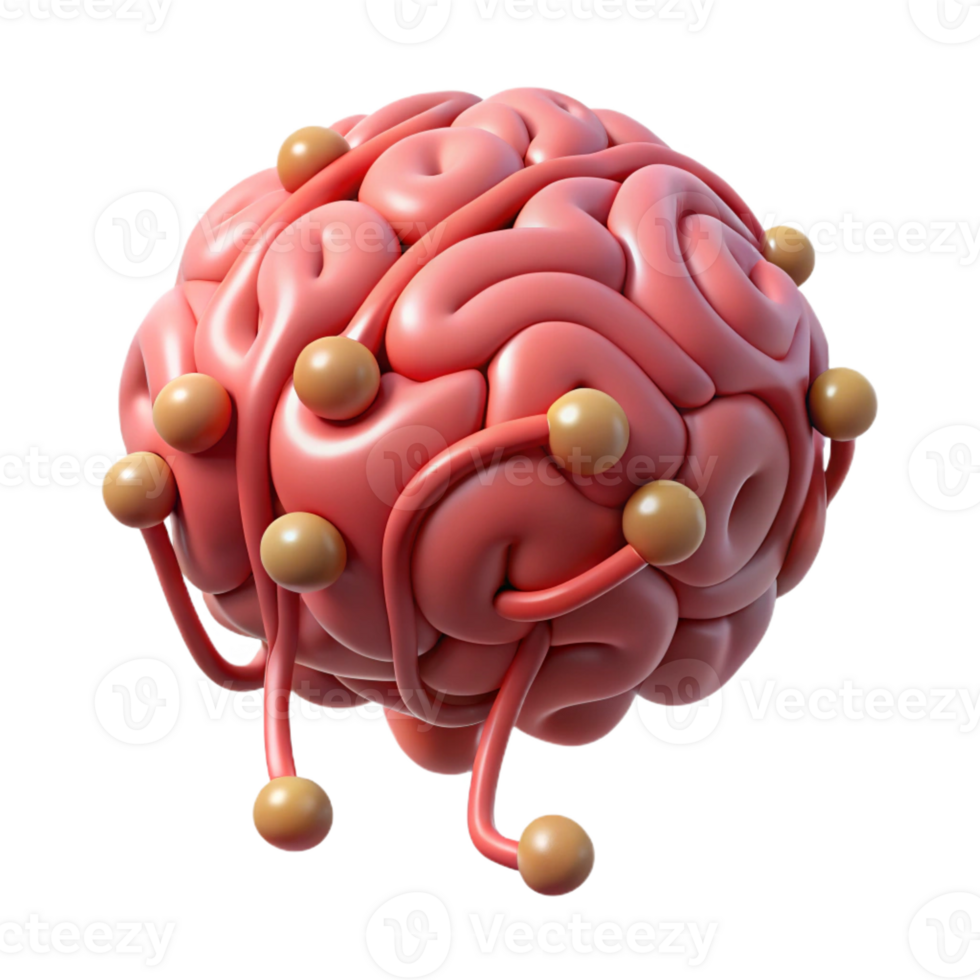elegant vintage A single, stylized brain with intricate neural pathways exclusive png