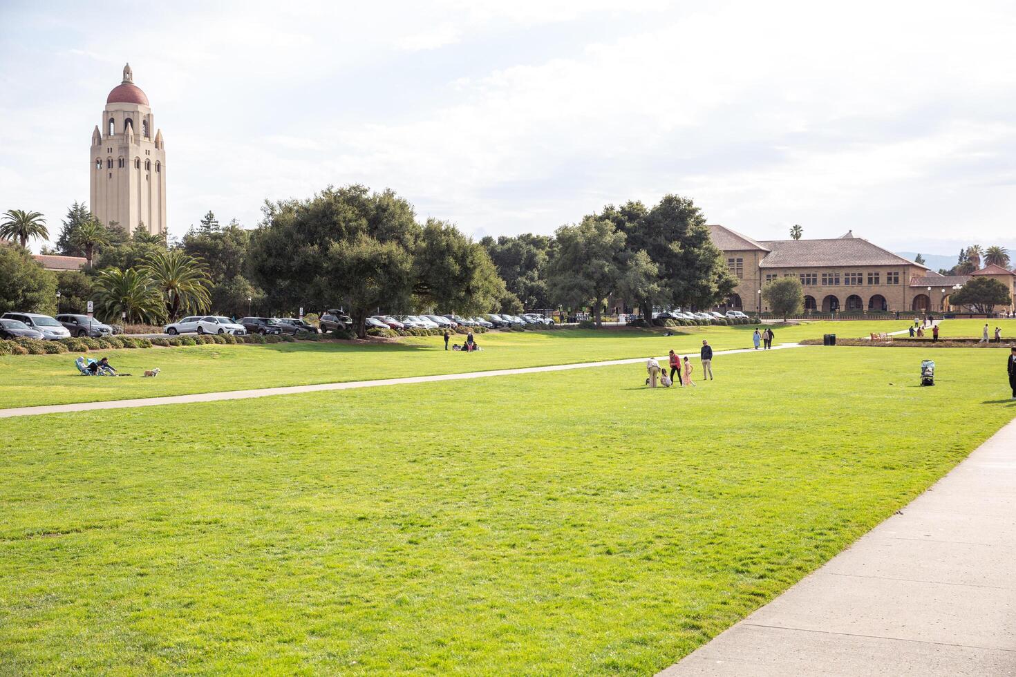 Stanford, California USA - January 25, 2025 the green grass of stanfort university camp in California photo