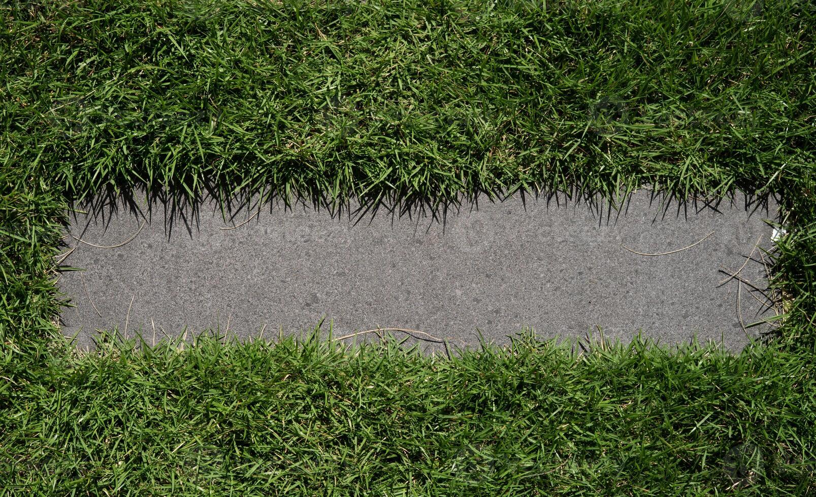 green grass with stone for copy space banner photo