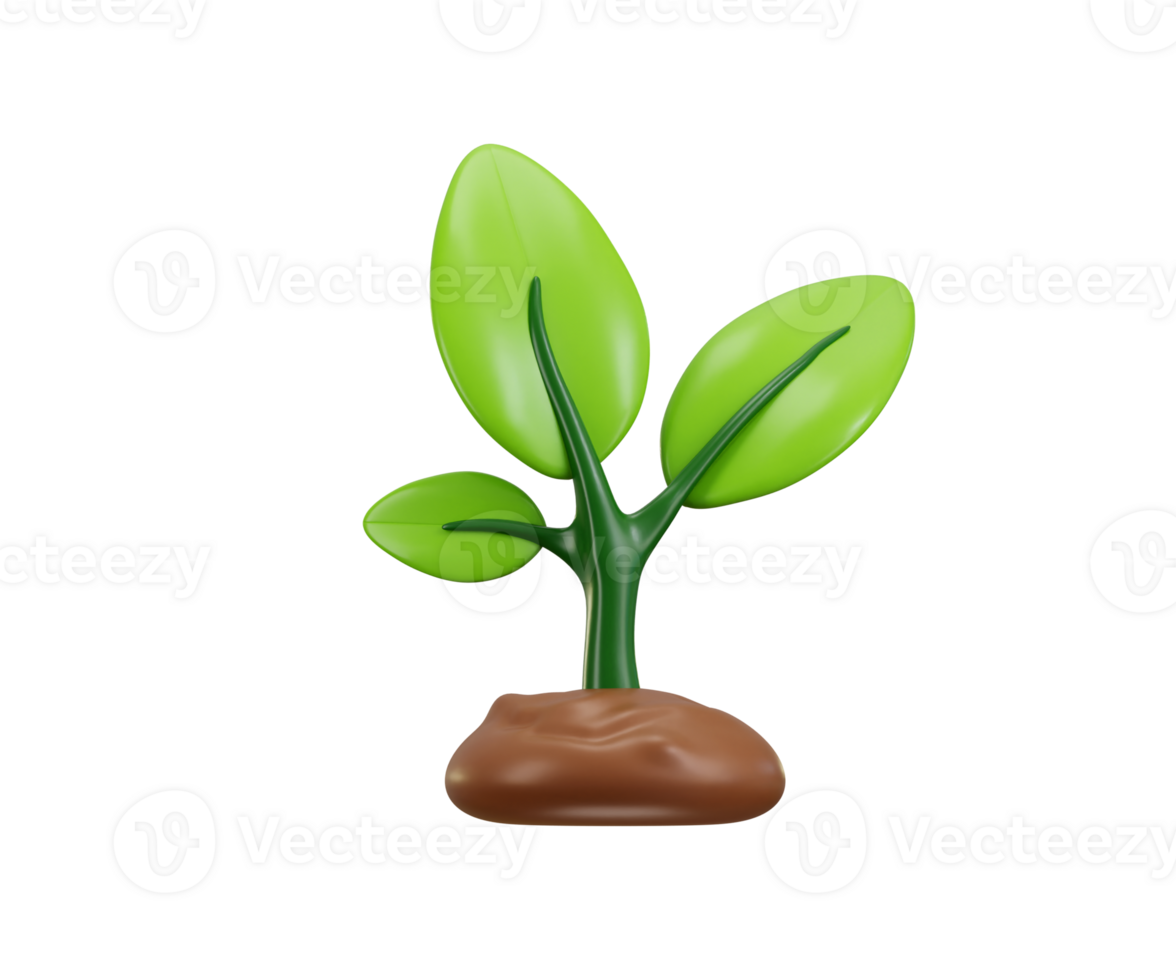 Green sprout plant growing in soil with leaves icon 3d render png