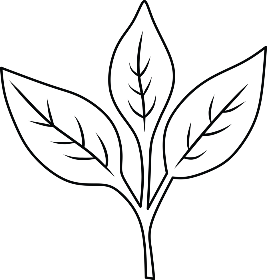 Minimalist Outline Drawing of a Three-Leaf Plant Branch png