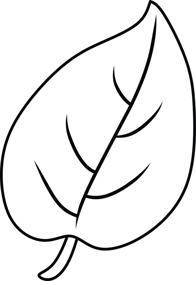 Simple monochrome line art of a plant branch consisting of three detailed leaves, creating an elegant, minimal illustration style suitable for decoration, logo design, or illustrative projects png