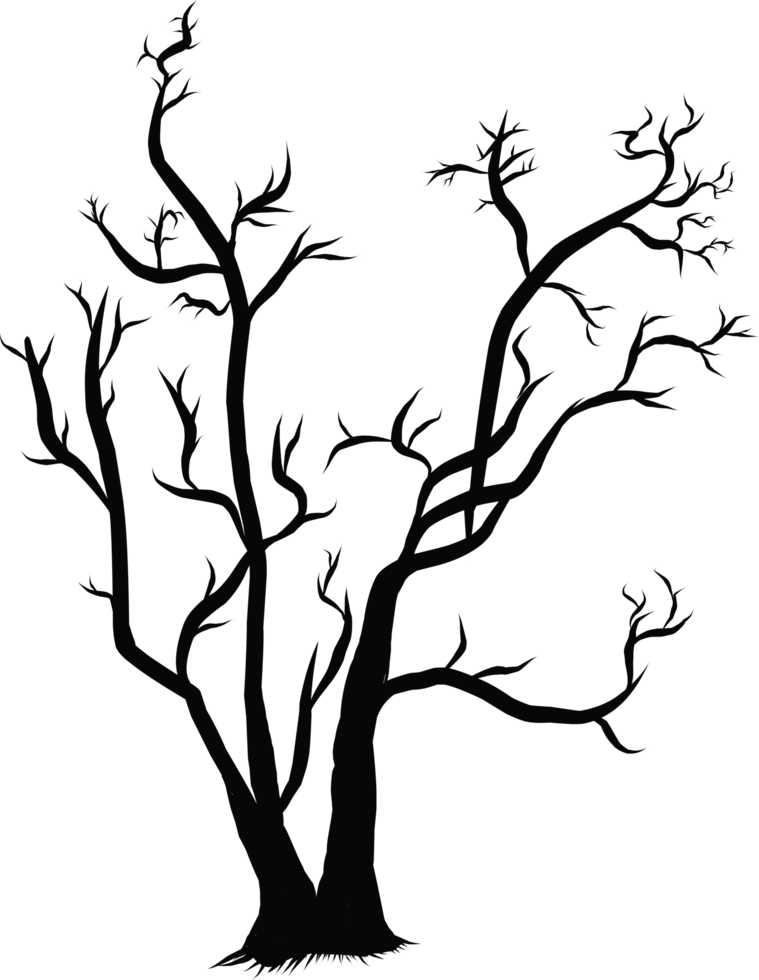 Silhouette of Bare Tree Branches on a Transparent Background png