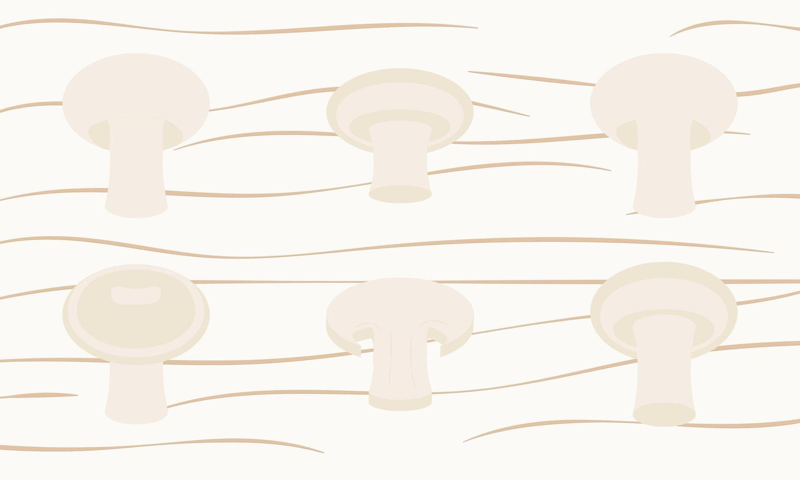 White champignons. Set of mushrooms in different angles in flat style vector