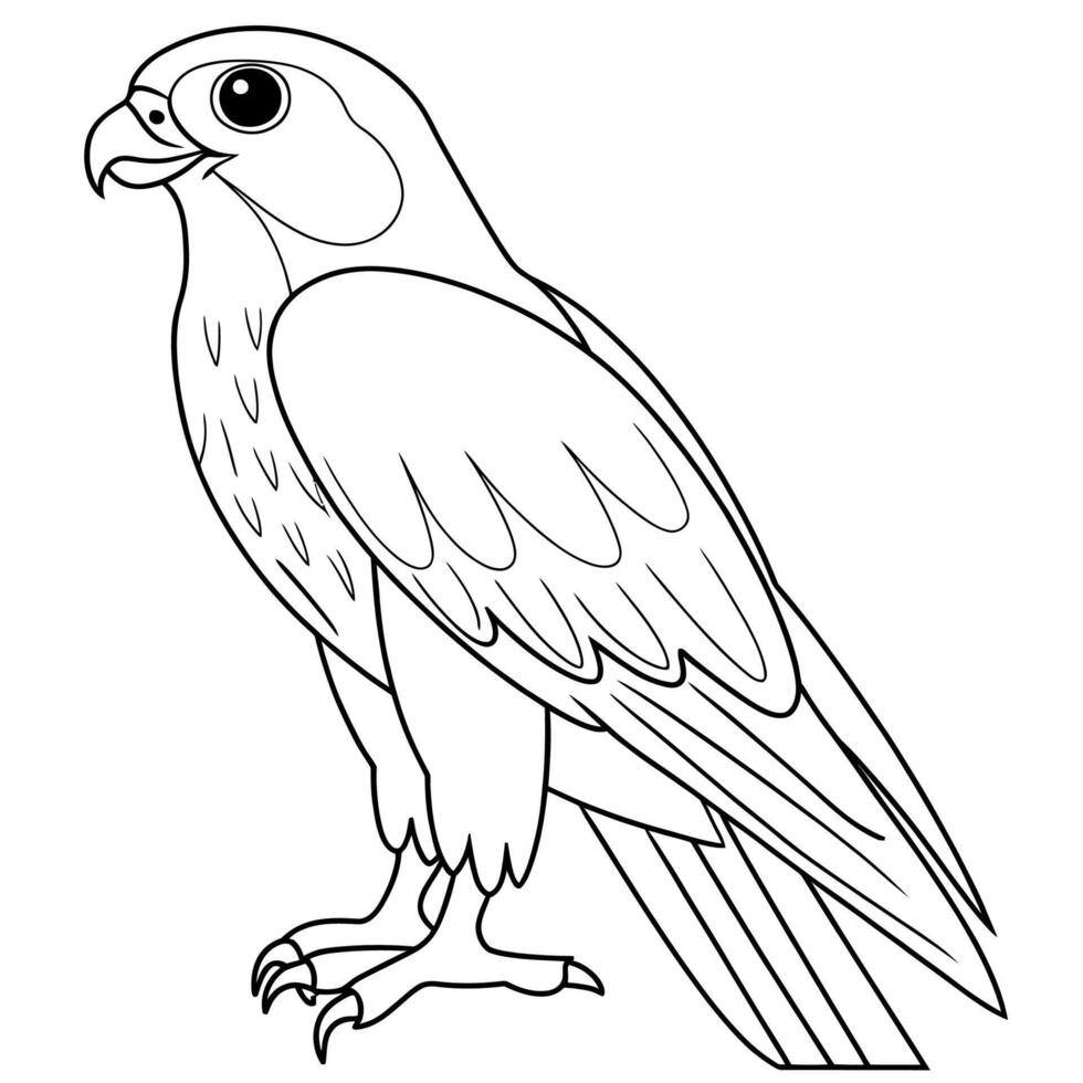 Black and white outline drawing of a falcon. vector