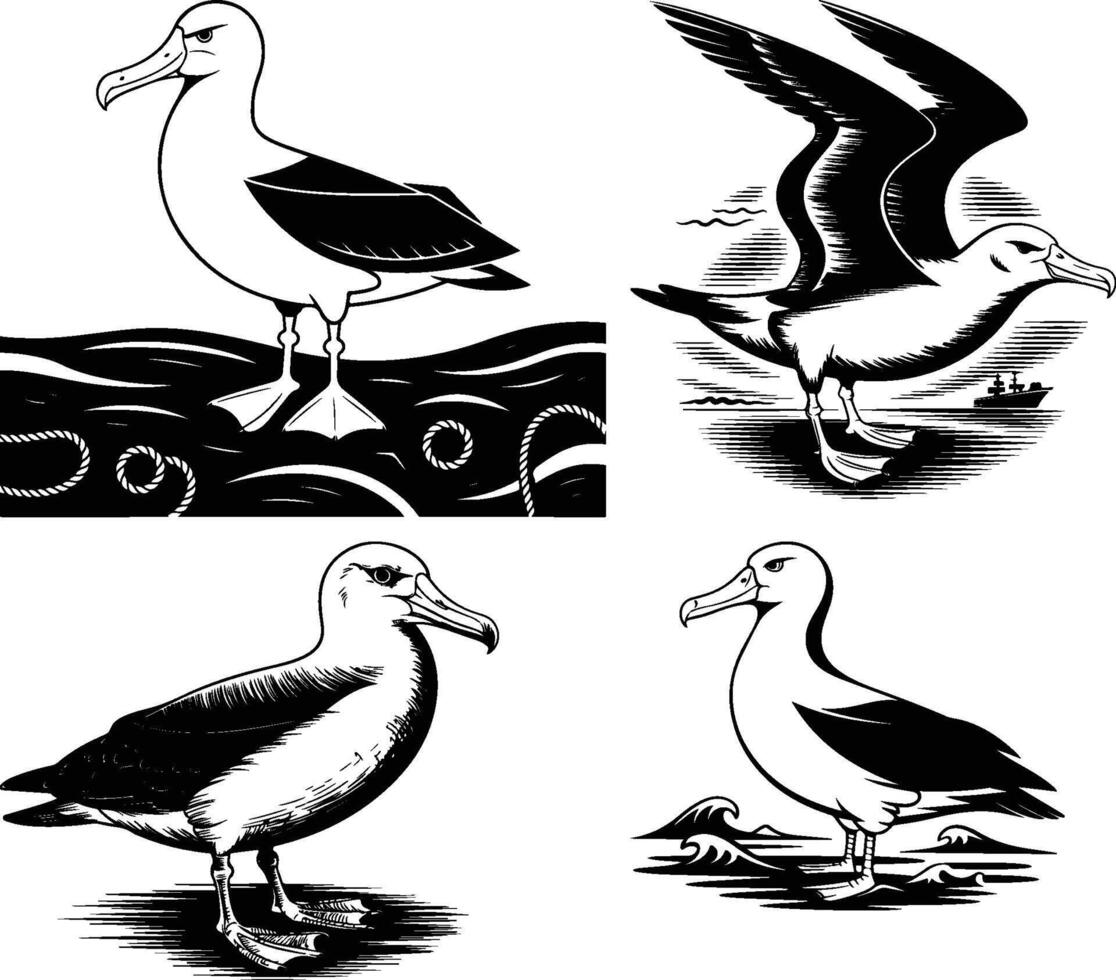 albatross line art silhouette vector