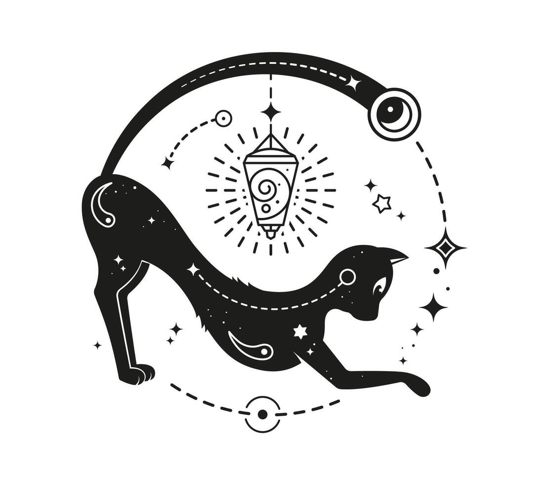 Black magic cat with cosmic patterns and symbols vector
