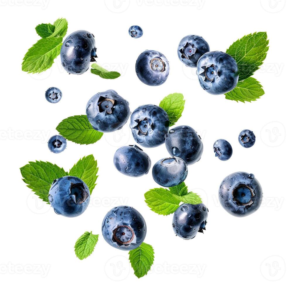 Fly blueberies with mint leaves photo