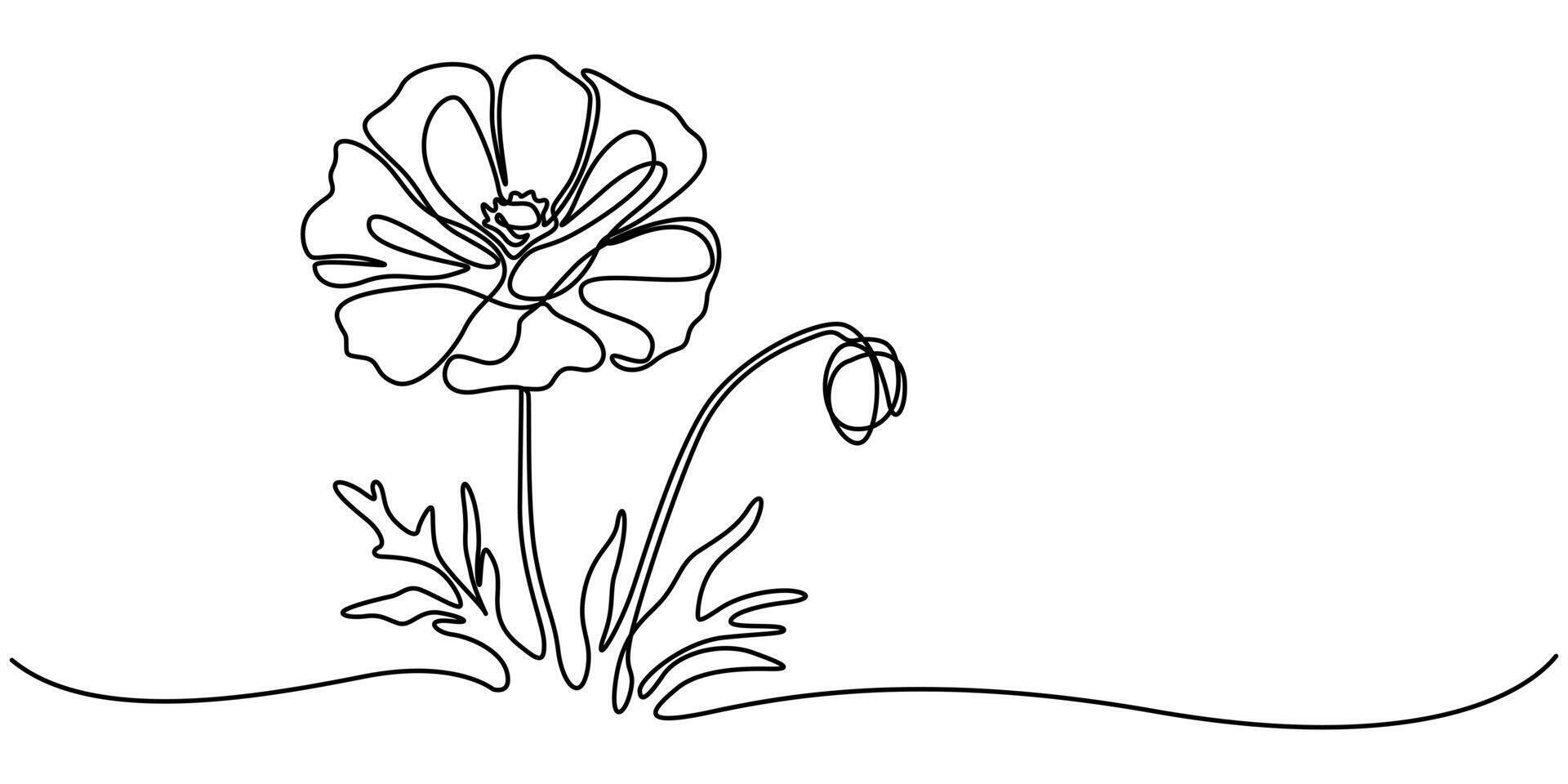 Poppy continuous one line drawing abstract flower continuous line minimalist contour drawing of poppy seed vector